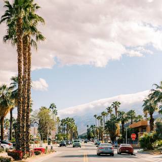 iPhone Palm Springs wallpaper