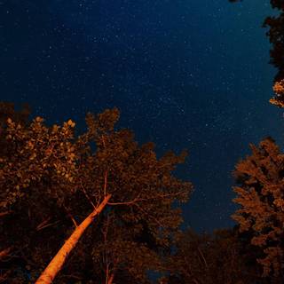 Sky iPhone 11 wallpaper