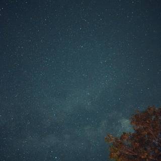 Sky iPhone 11 wallpaper