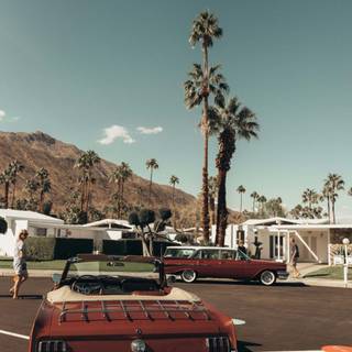 iPhone Palm Springs wallpaper