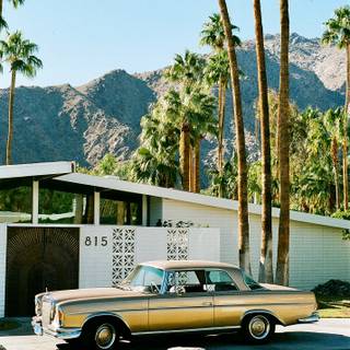 iPhone Palm Springs wallpaper