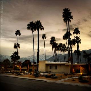 iPhone Palm Springs wallpaper