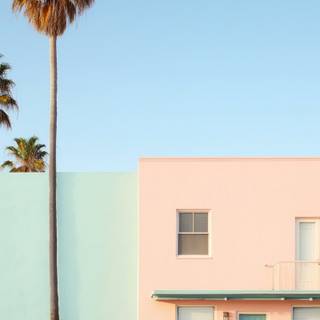 iPhone Palm Springs wallpaper