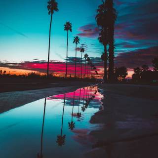 iPhone Palm Springs wallpaper