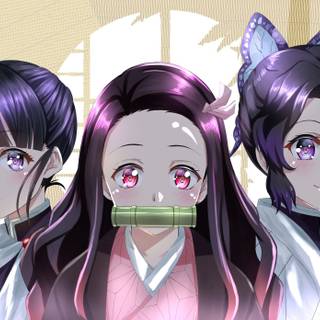 Nezuko and Mitsuri wallpaper