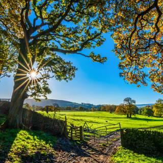 4k beautiful nature wallpaper