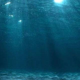 4k underwater iPhone wallpaper