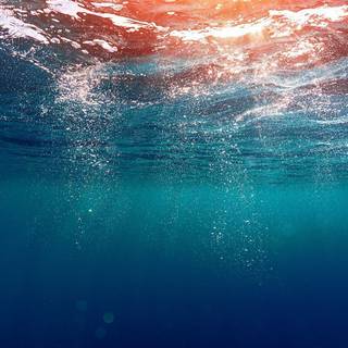 4k underwater iPhone wallpaper
