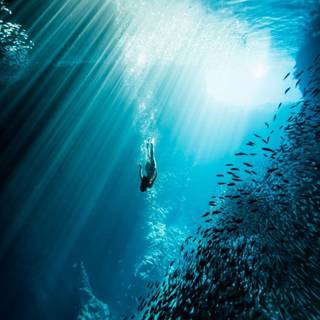 4k underwater iPhone wallpaper