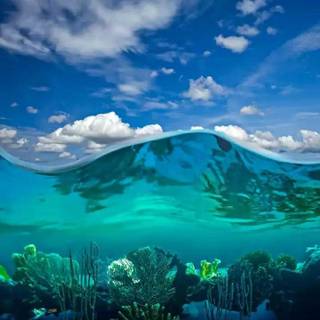 4k underwater iPhone wallpaper