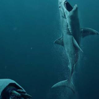 4k underwater iPhone wallpaper