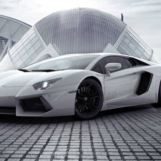 White cars 4k wallpaper