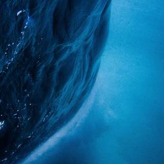 4k underwater iPhone wallpaper