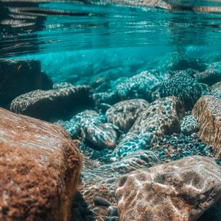 4k underwater iPhone wallpaper