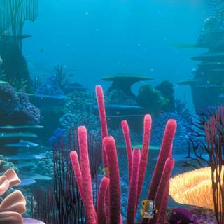 4k underwater iPhone wallpaper