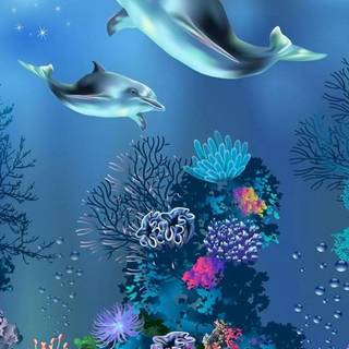 4k underwater iPhone wallpaper