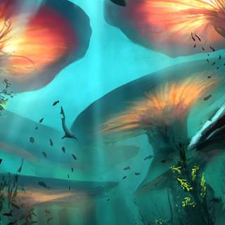 4k underwater iPhone wallpaper