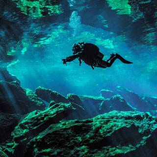 4k underwater iPhone wallpaper