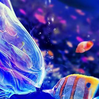 4k underwater iPhone wallpaper
