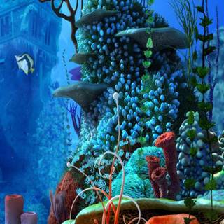 4k underwater iPhone wallpaper