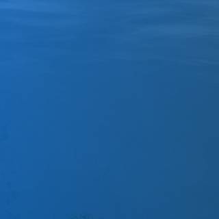 4k underwater iPhone wallpaper