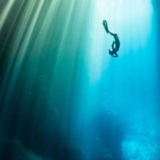 4k underwater iPhone wallpaper