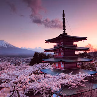 Pink Japan 4k wallpaper