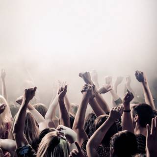 Concert crowd wallpaper