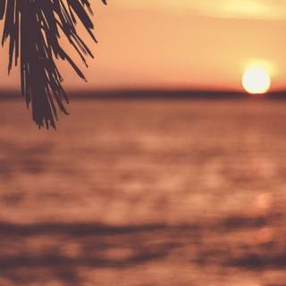 Sunsets iPhone wallpaper
