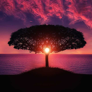 Sunsets iPhone wallpaper