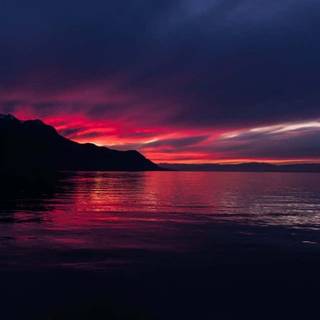 Sunsets iPhone wallpaper