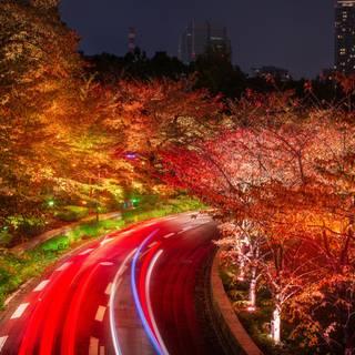 Red Japan 4k wallpaper