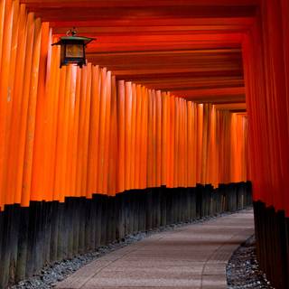 Red Japan 4k wallpaper