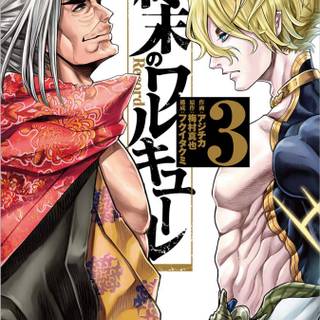 Record of Ragnarok iPhone wallpaper