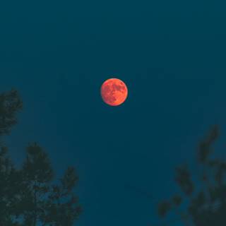 Red moon iPhone wallpaper