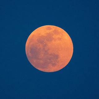 Red moon iPhone wallpaper