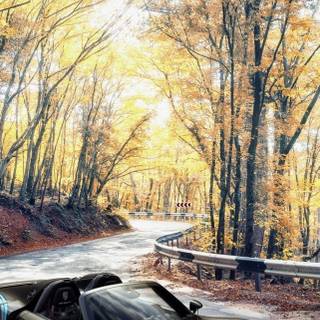 Porsche 918 phone wallpaper