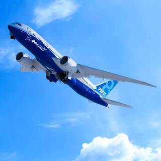 787 iPhone wallpaper