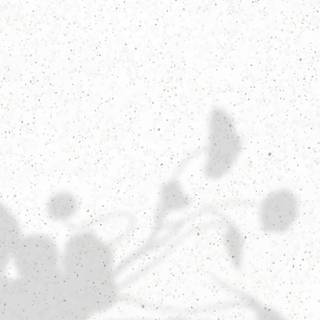 White minimalist iPhone wallpaper