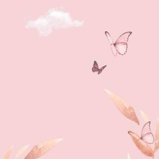 Light pink iPhone wallpaper