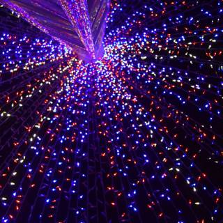 iPhone lights wallpaper