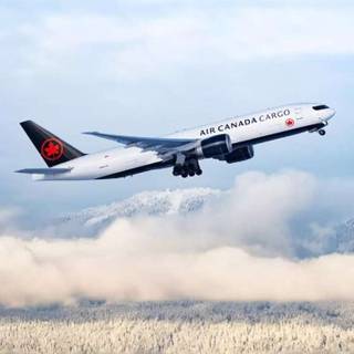 787 iPhone wallpaper