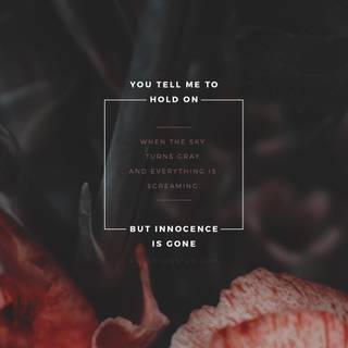 Imagine Dragons iPhone wallpaper