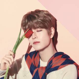 Seungmin SKZ wallpaper