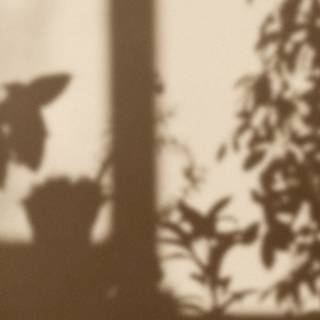 Cross aesthetic wallpaper