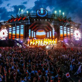 Japan festival wallpaper