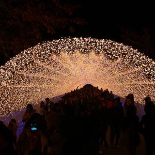 Japan festival wallpaper