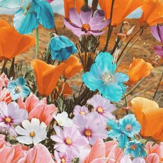 Spring flowers phone wallpaper