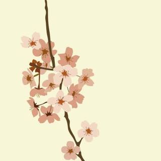 Spring aesthetic computer wallpaper