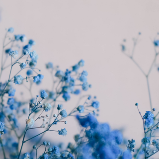 Spring aesthetic computer wallpaper